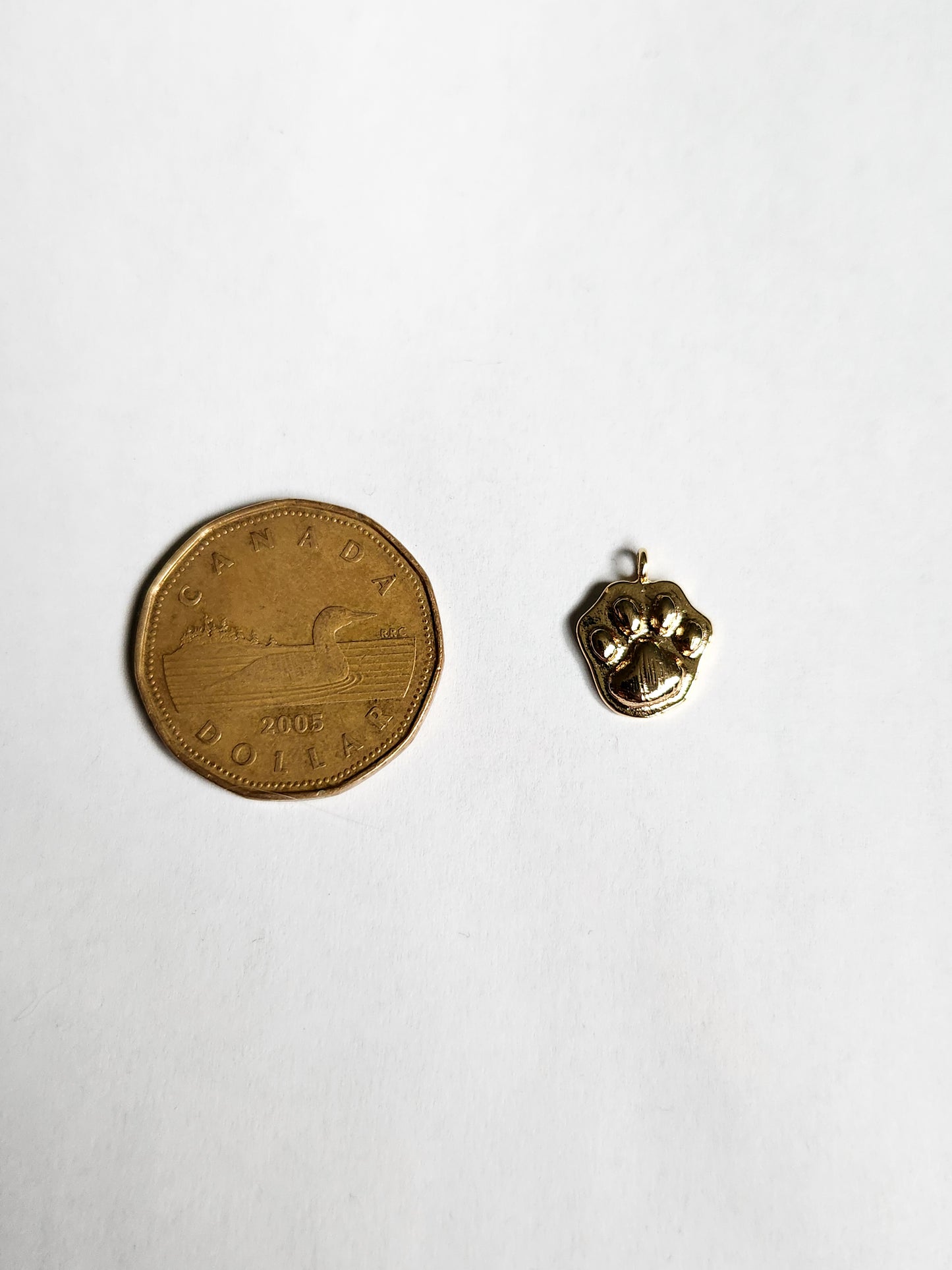 Paw Print Charm
